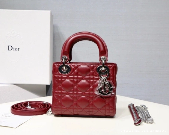 Tony Luxuries Lady Mini Lambskin diro With 0810